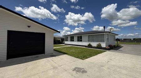 Newly Renovated Sunny & Spacious 3 bedroom Home - Photo 2