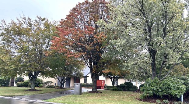 Large Executive Home - Photo 1