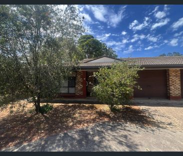 Well-Located Two Bedroom Unit Close to All Amenities! - Photo 1