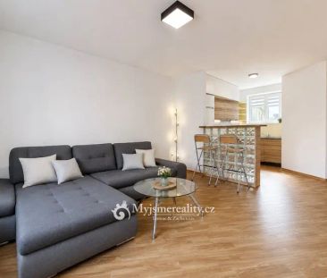 Pronájem kompletně zařízeného bytu 2+kk 48 m - Photo 3