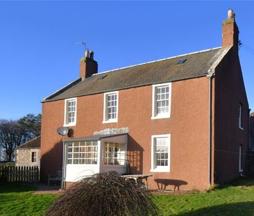 East Gilston Mains Farmhouse - Photo 5