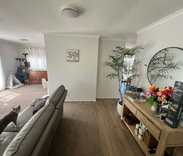 Albany Creek - Photo 5