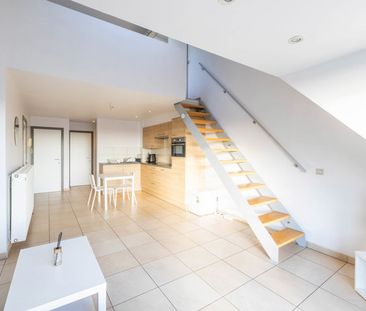 Duplex te huur in Temse - Photo 2