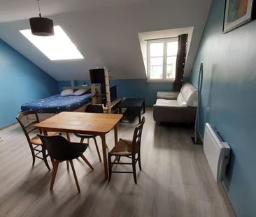 Location Appartement 1 pièce Meublé 30m² DAMMARTIN EN GOELE 77230 - Photo 2