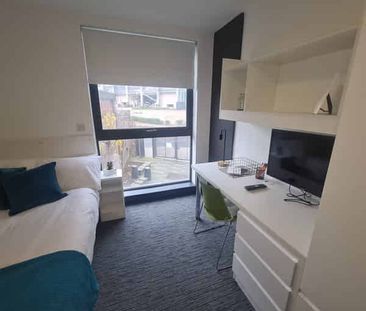 Studio Bronze - Photo 6