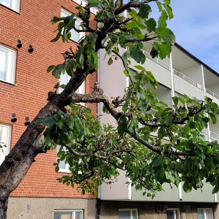 Skolvägen 17 - Photo 4