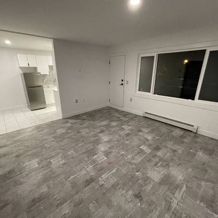 ►►► NEWLY RENOVATED MODERN, CHIC & COOL 1 BDRM...... - Photo 3