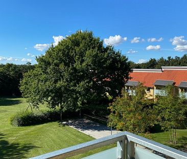 7800, Skive - Photo 3