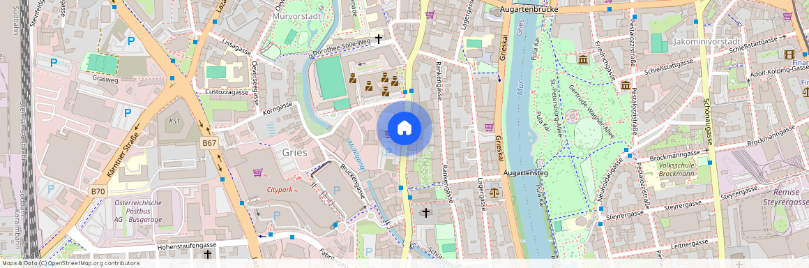 8020 Graz, Karlauerstraße