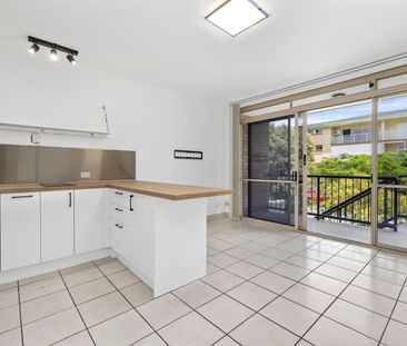 6/425 Bowen Terrace, New Farm QLD 4005 - Apartment For Rent | Domain - Photo 5