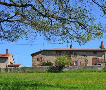 MAISON T3 A LOUER A VENDRANGES - Photo 2