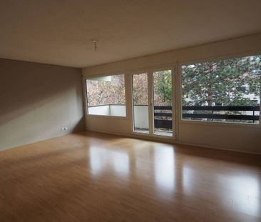 Location Appartement 3 pièces 72m² ANNECY 74000 - Photo 1