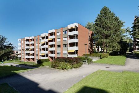 Living on the Binningerhöhe - Foto 4