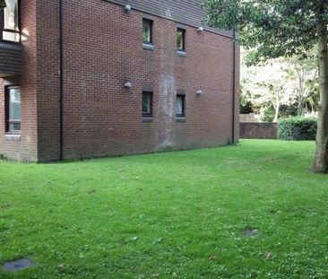 Studio Flat, Tremona Court, SO16 - Photo 3