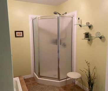 Appartement 4 1/2 à louer à Trois-Rivières (Rue Bord du Fleuve) - Photo 2