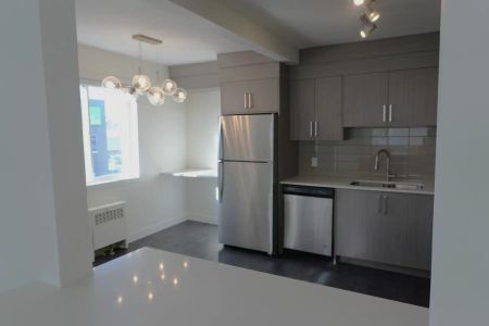 Shelbourne Apartments on 17 Ave in Calgary — 1 Bedroom - Photo 4