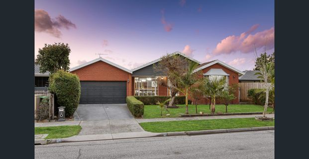 Bask in Natural Light, Embrace the Space, and Unwind with Ease - Photo 1