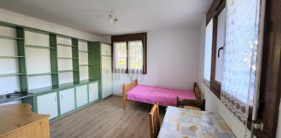 Location Appartement 1 pièce 25m² LIMOGES 87000 - Photo 2