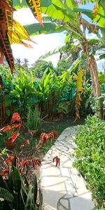 Appartement T1 Le Gosier à louer - Photo 4