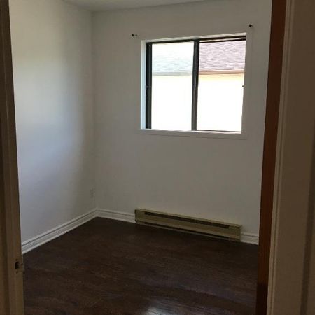 Cuisine 100% renovée, 4 1/2 disponible dès maintenant ! - Photo 3