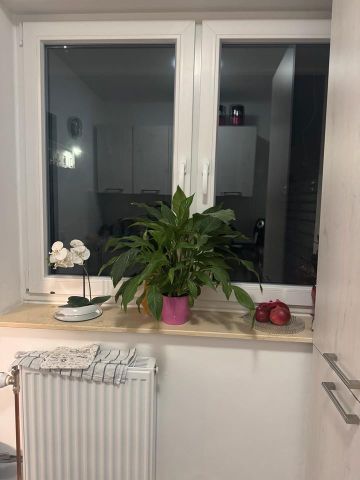 Wohnung zur Miete Erdgeschoss mit Garten ! - Photo 5