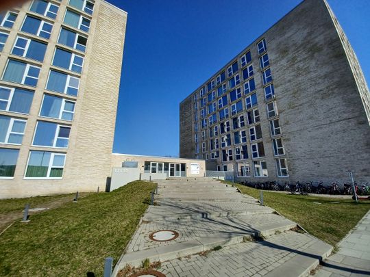 Alle Kosten inklusive! Modern & NEU Mikroapartments für Studenten - Photo 1