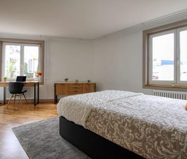 Matthew #3 - Your Ideal Coliving Space in Zurich - Foto 6