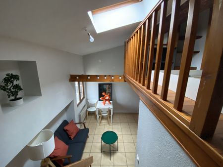 Location Appartement 1 pièce 16m² AUBIERE 63170 - Photo 5