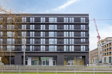 Blancefloerlaan 381, 2050, Antwerpen - Photo 4