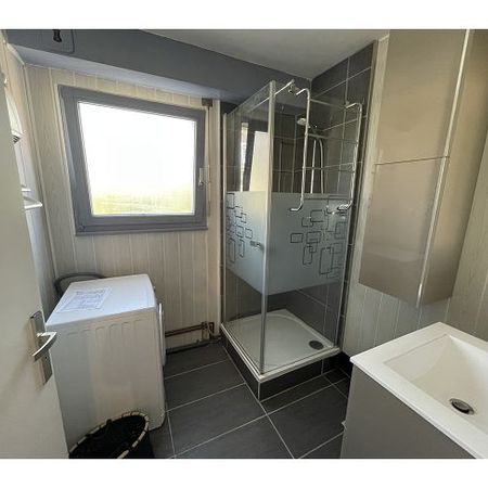 location Appartement 2 pièces à Colmar - REF 266-22 IB - Photo 4