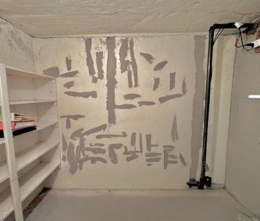 For Lease - 632 Sherene Terrace Unit# Lower, London North, Ontario - Photo 5