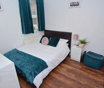 99 Eglantine Avenue, Flat 2, Belfast, BT9 6EX - Photo 3