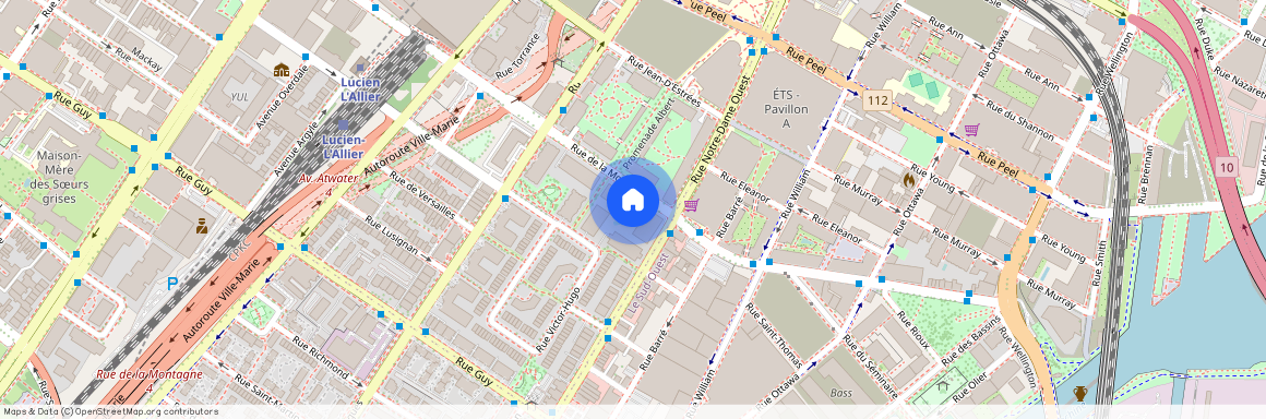 500 Rue de la Montagne, apt. 303, H3C4T6, Montréal (Ville-Marie)