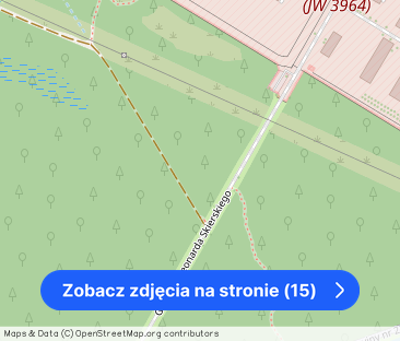 Unikalny klimat secesyjnej kamienicy Pod Sowami – zdjęcie 1