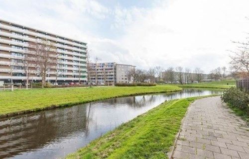 Cruquiuslaan 0ong, 2332 Leiden, Nederland - Foto 1