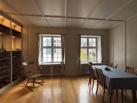 APPARTEMENT 3 PIÈCES À BÂLE - ALTSTADT/GROSSBASEL, MEUBLÉ, TEMPORAIRE - Photo 4