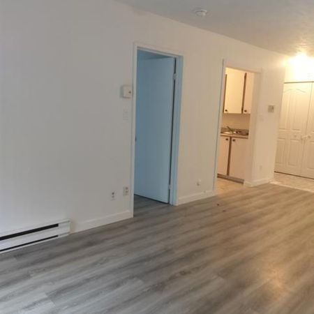 Appartement 1 chambre — 1 mois gratuit ! - Photo 3