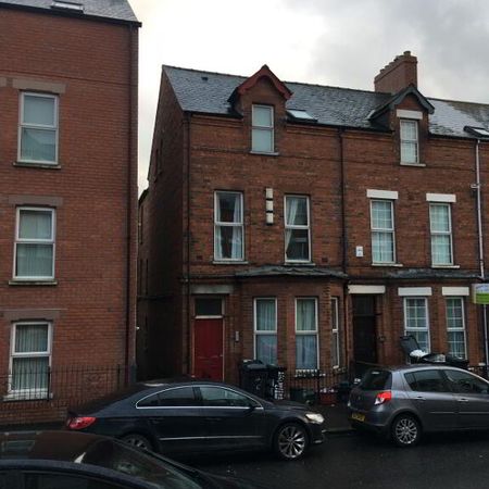 Flat 2-2 Eglantine Gardens, Belfast, BT9 6EZ - Photo 4