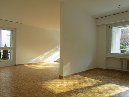Sonnige Wohnung im schönen Sihltal! - Foto 2