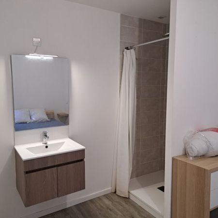 BEAU T2 REFAIT A NEUF - Photo 4