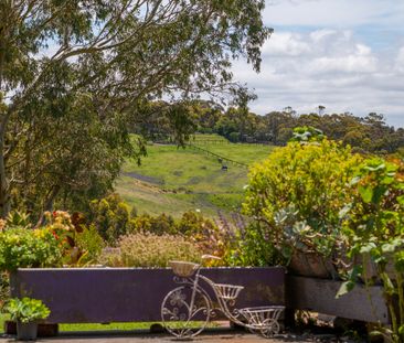 Open the door to acreage, serenity & country charm - Photo 5