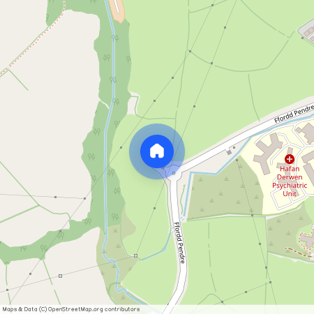 Maes Frondeg, Carmarthen, SA31