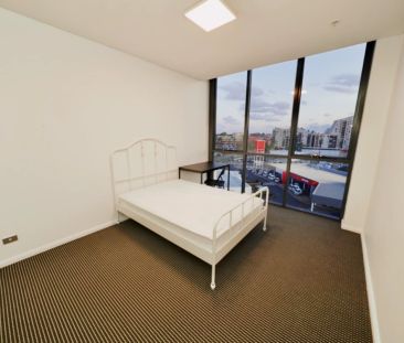 2 bed 2 bath-702 - Photo 5