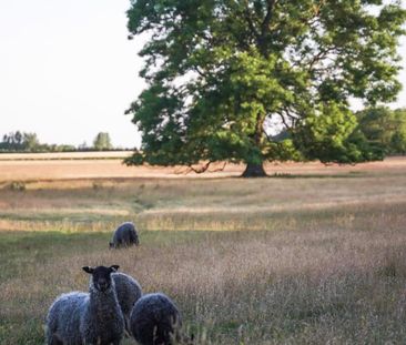 Högklint Högklintsvägen, Visby - Foto 1