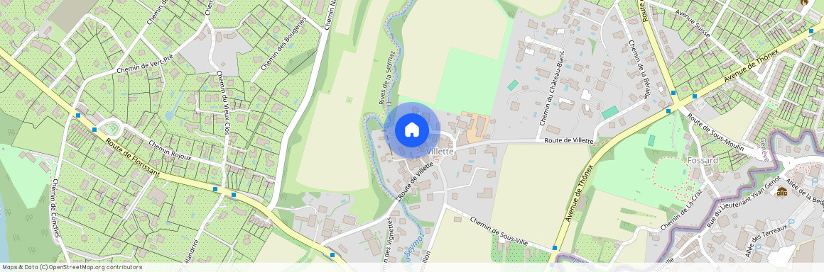 1231 Conches, Route de Villette 51A