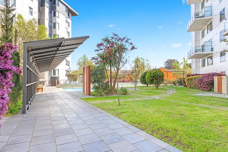 8/20 Moore Street, Turner ACT 2612 - Apartment For Rent | Domain - Photo 3