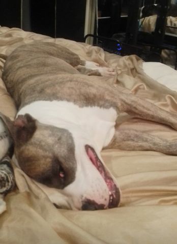 Mannering Park - Photo 3