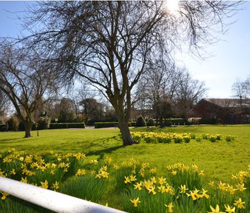 1 bedroom house to rent - Photo 6