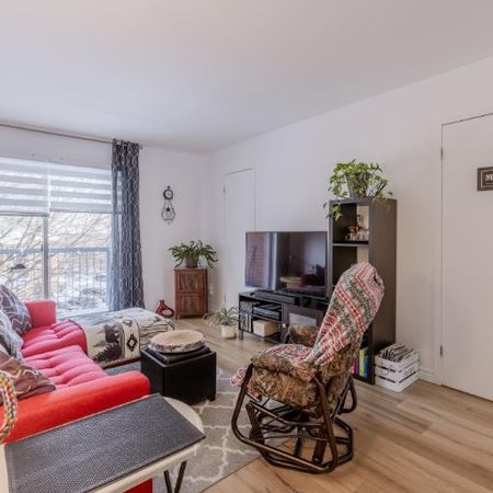 Appartement 4 ½ à louer Loretteville février 2026 - Photo 3