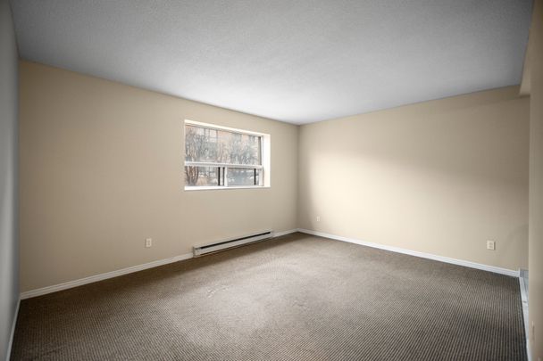 2 Bedroom - Photo 1